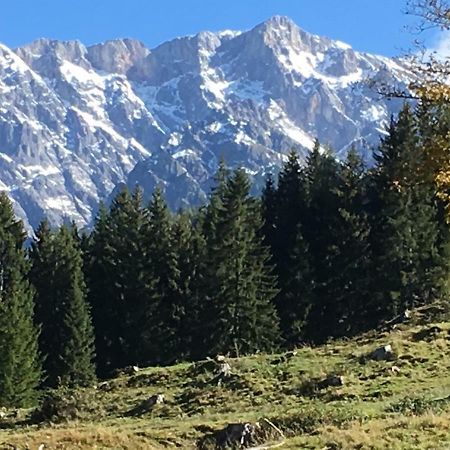 Auhaeuslalm Villa Maria Alm am Steinernen Meer Dış mekan fotoğraf
