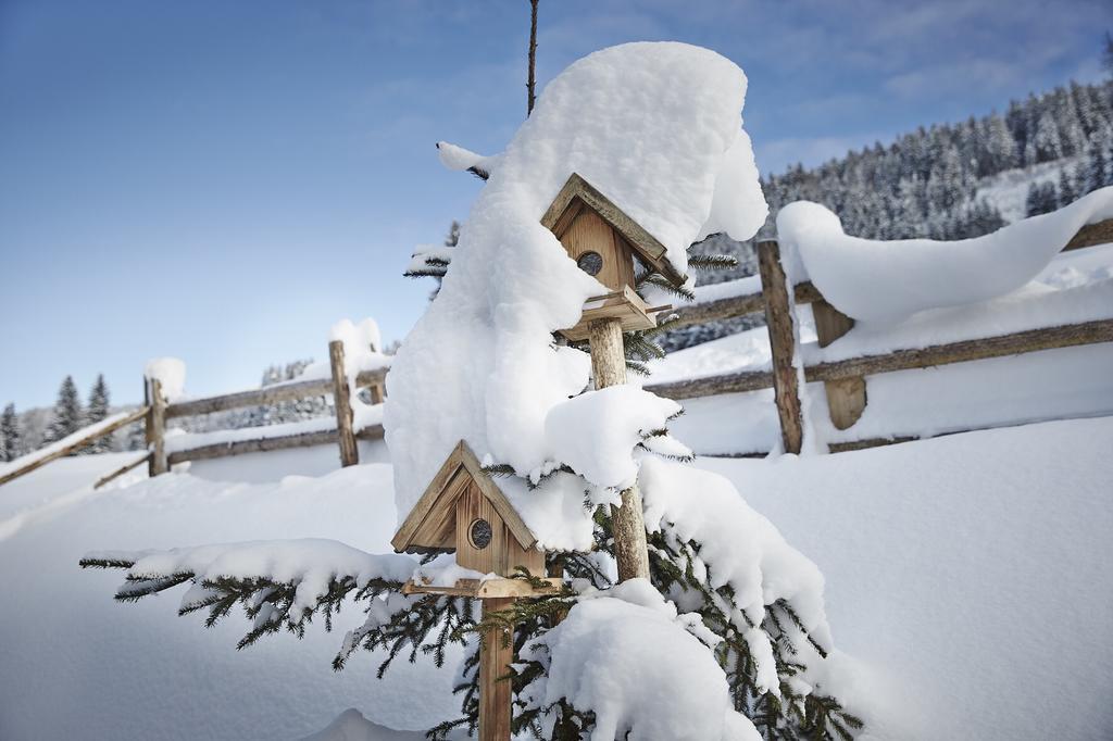 Auhaeuslalm Villa Maria Alm am Steinernen Meer Dış mekan fotoğraf