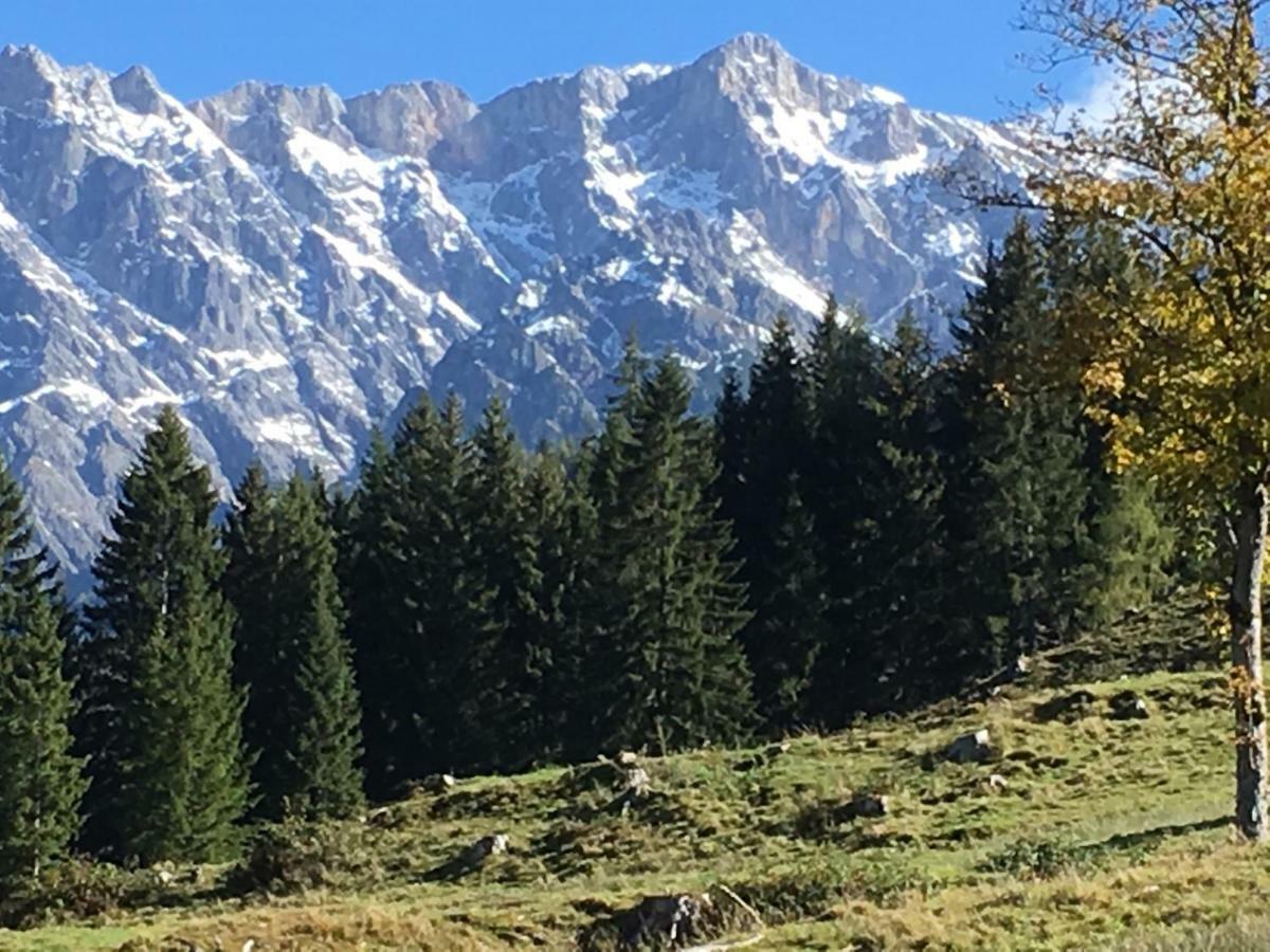 Auhaeuslalm Villa Maria Alm am Steinernen Meer Dış mekan fotoğraf